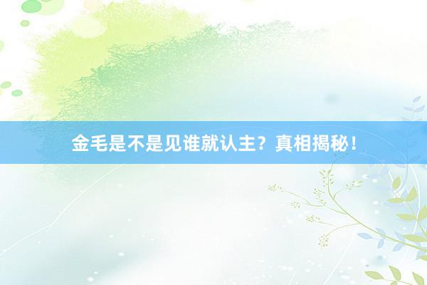 金毛是不是见谁就认主？真相揭秘！