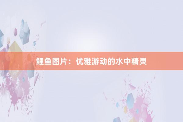 鲤鱼图片：优雅游动的水中精灵